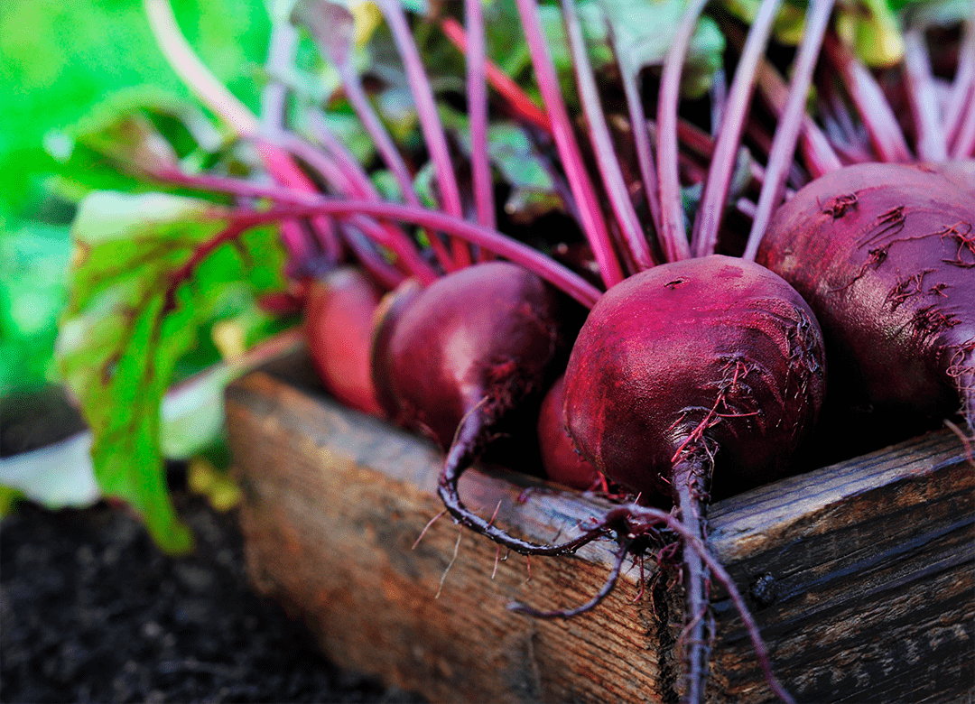 Betaine